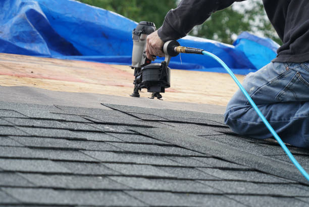 Best Metal Roofing Contractor  in Prudhoe Bay, AK